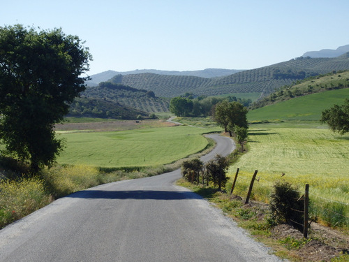 On the road to Montefr&iacute;o.